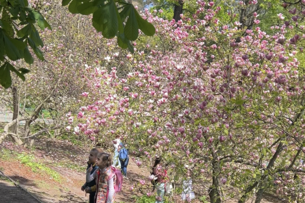 children in the botanical garden of Kyiv with blooming magnolias